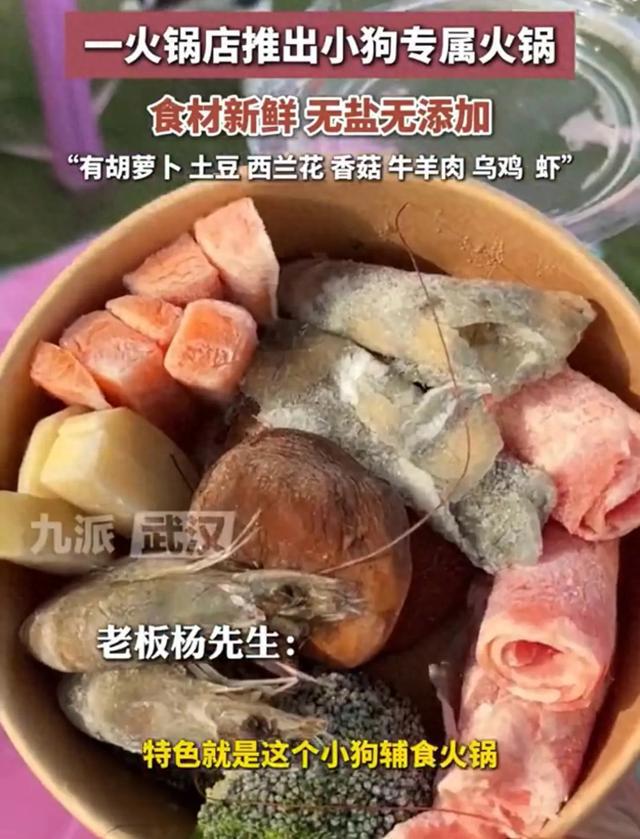 专属火锅：锅底为清水锅无盐无添加麻将胡了老板回应推出99元狗狗