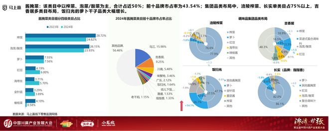 产业发展大会：调味品竞争态势及发展趋向PG电子麻将胡了2模拟器分享实录丨川调(图5)