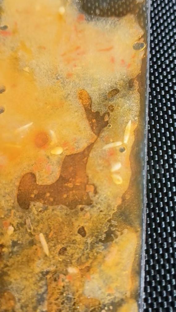 汇火锅底料次日发现蛆虫 市监部门受理投PG麻将胡了免费模拟器消费者称吃锅圈食