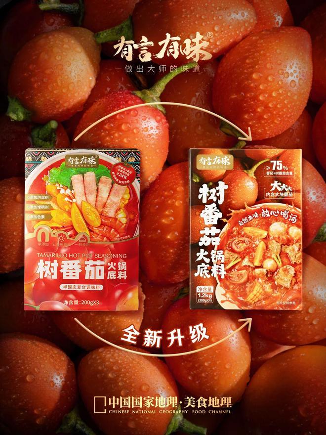 底料品类引领复合调味品行业新潮流麻将胡了有言有味开创树番茄火锅(图5) 底料品类引领复合调味品行业新潮流麻将胡了有言有味开创树番茄火锅(图5)